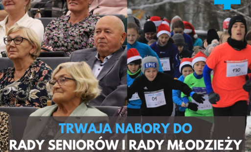 Zdjęcie do Ruszył nab&oacute;r do Gminnej Rady Senior&oacute;w oraz Młodzieżowej Rady Gminy 