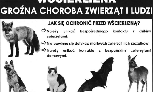 Zdjęcie do Wścieklizna - groźna choroba zwierząt i ludzi 