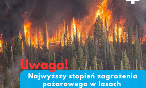 Zdjęcie do &nbsp; &nbsp;Uwaga, najwyższy stopień zagrożenia pożarowego w lasach wojew&oacute;dztwa lubuskiego! &nbsp;&nbsp;