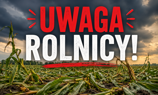 Zdjęcie do WAŻNE &ndash; Zgłaszanie strat rolnych po nawałnicy 
