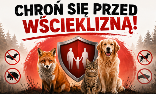 Zdjęcie do Wścieklizna &ndash; jak się przed nią chronić?